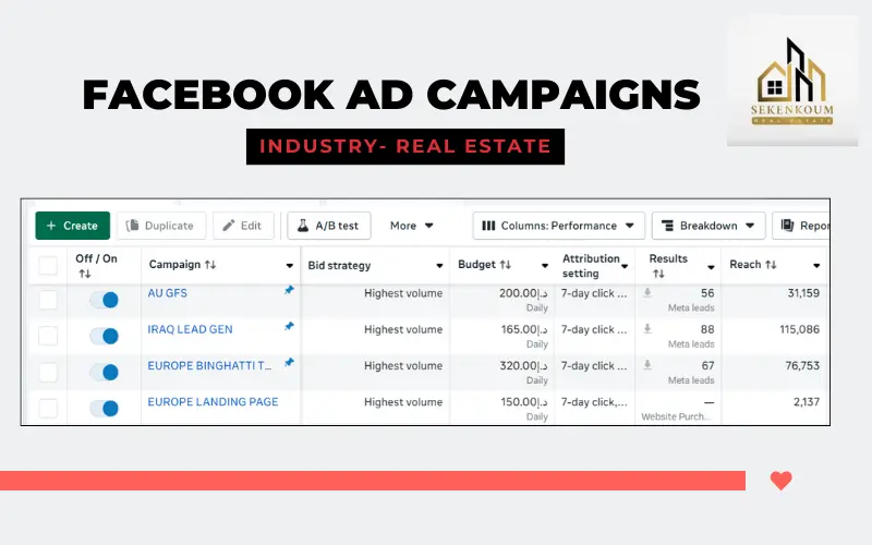 Digital marketing ad expert